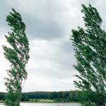 10923300_742701595798323_7980868689580812025_n