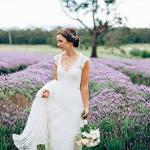 10930542_742701435798339_1750731766284831121_n