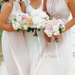 10931264_742701489131667_4148116751477218735_n