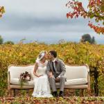 11060887_801401286595020_7888814055092821866_n