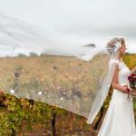 11141312_801401323261683_1268425309687248950_n