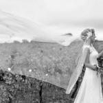 11141312_801401323261683_1268425309687248950_n