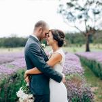 1513297_742701419131674_8664430815817318020_n