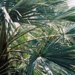 B004647-R1-10-12A